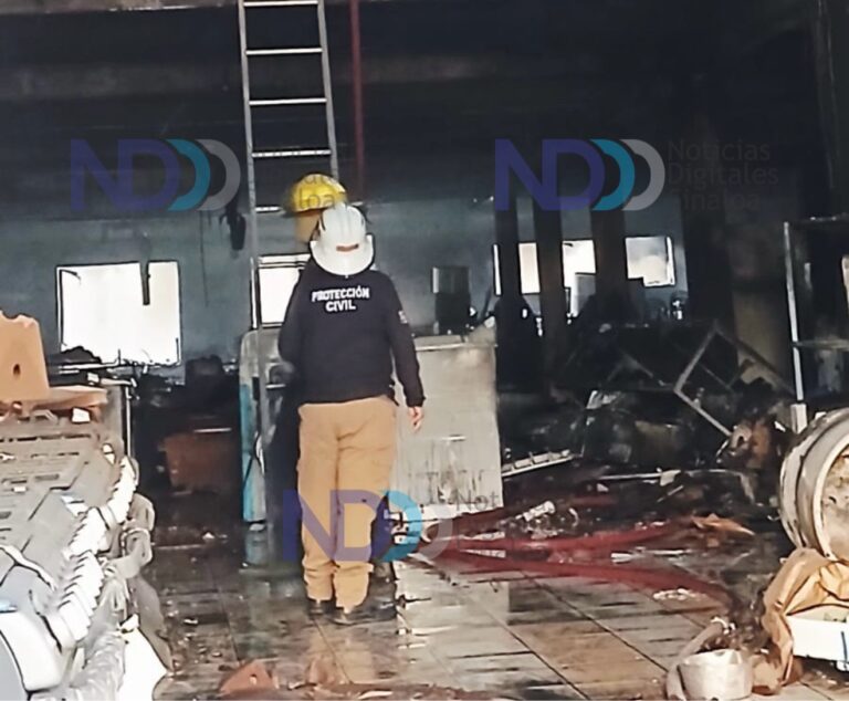 Incendio acaba con conocida tienda de muebles en el centro de Escuinapa